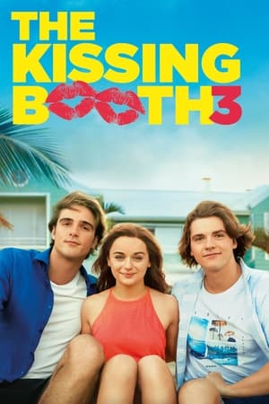 Delidolu 3 – The Kissing Booth 3 izle