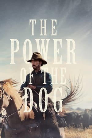 Köpeğin Gücü – The Power of the Dog izle